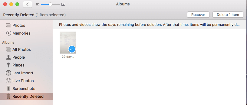 在Mac上恢復已刪除的照片
