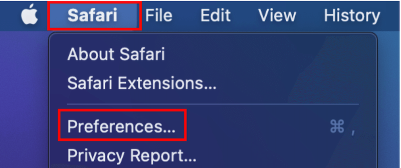 清除 Safari 上的 CCleaner 緩存