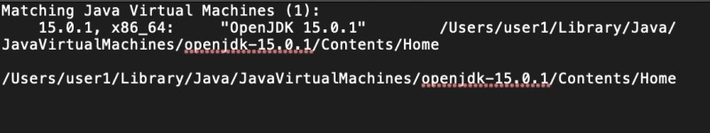 在 Mac 上卸載 AdoptOpenJDK 之前檢查版本