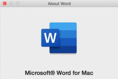 的MS Word 2019的