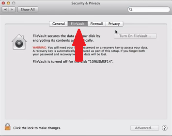 訪問FileVault