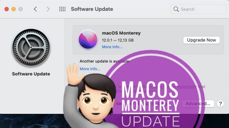 我應該更新到 macOS Monterey