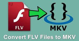 將您的 FLV 檔案轉換為 MKV