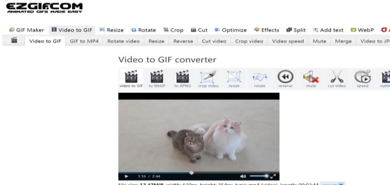 在線 FLV 到 GIF 轉換器