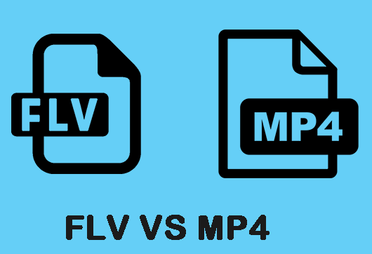 FLV 與 MP4