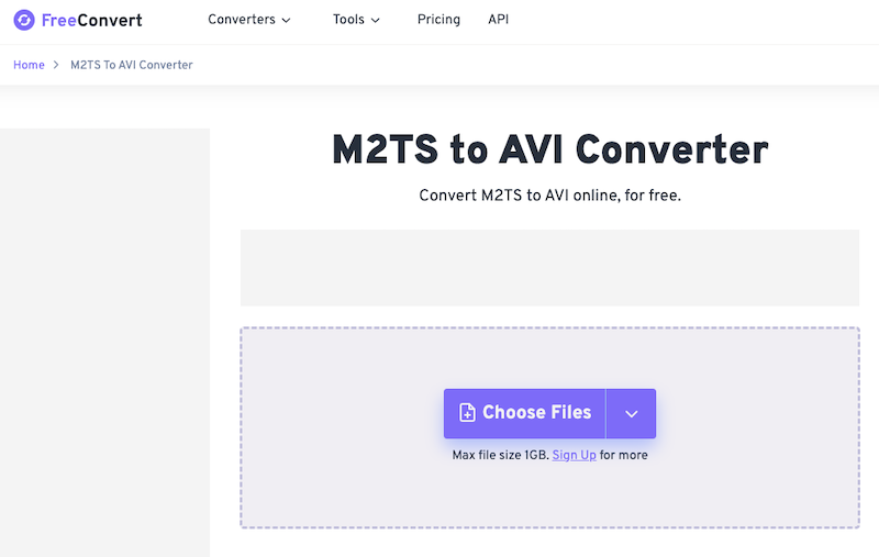 在 FreeConvert.com 將 M2TS 轉換為 AVI