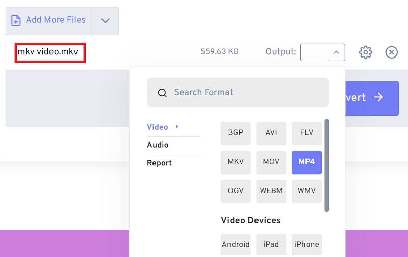 在線將 MKV 轉換為 VOB