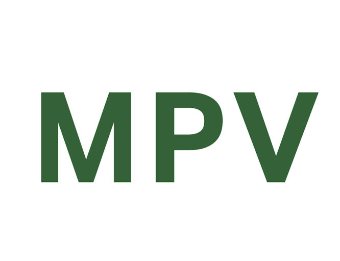 最佳 MPV 轉換器