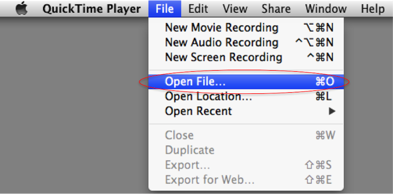 在 Mac 上使用 QuickTime Player 播放 MP3